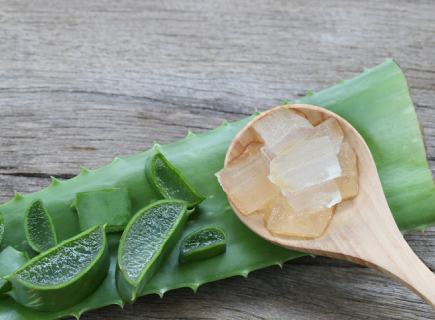15 beneficios del aloe vera
