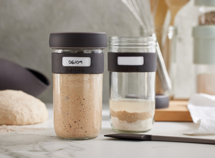 alimentos fermentados