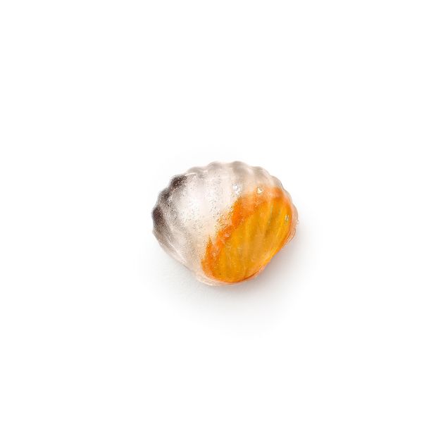 Bac à glaçons avec couvercle coquillage Une façon amusante de se rafraîchir !