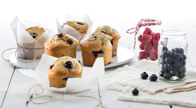 Motlle Muffins 6 Cavitats