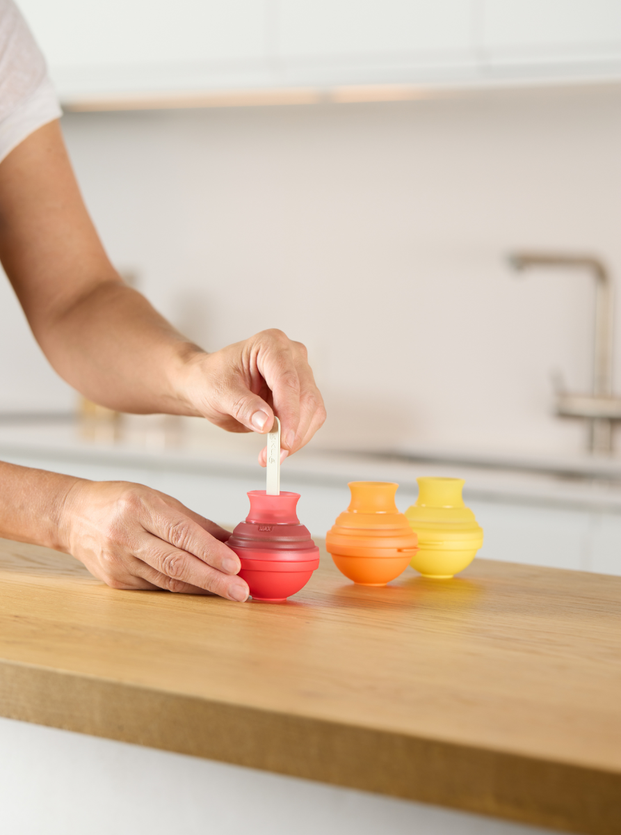 Ice Lollipop Moulds, Set of 4 Homemade pops, zero mess!