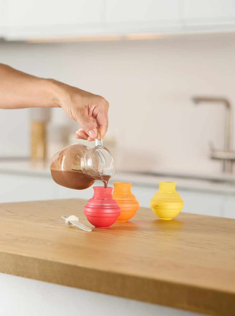 Ice Lollipop Moulds, Set of 4 Homemade pops, zero mess!