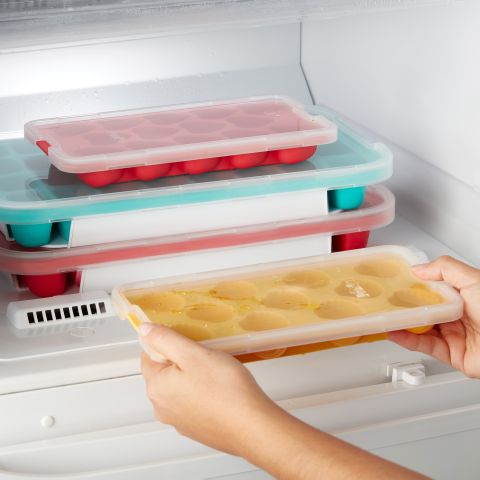 Shell ice cube tray with lid The funniest way to refresh yourself!