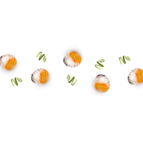 Shell ice cube tray with lid The funniest way to refresh yourself!