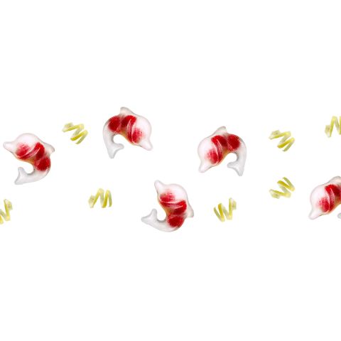 Dolphin ice cube tray with lid The funniest way to refresh yourself!