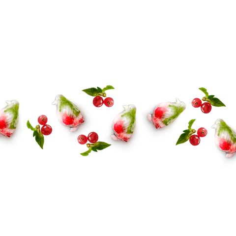 Bac à glaçons avec couvercle pingouin Une façon amusante de se rafraîchir !