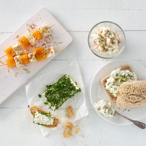 Cheese Maker Surprenez-vous en réalisant votre propre fromage frais maison