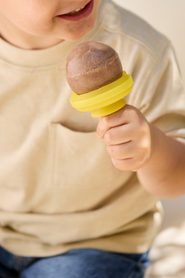 NEW Ice Lollipop Moulds