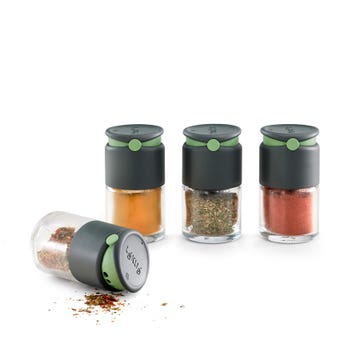 Set of 4 Spice shakers 