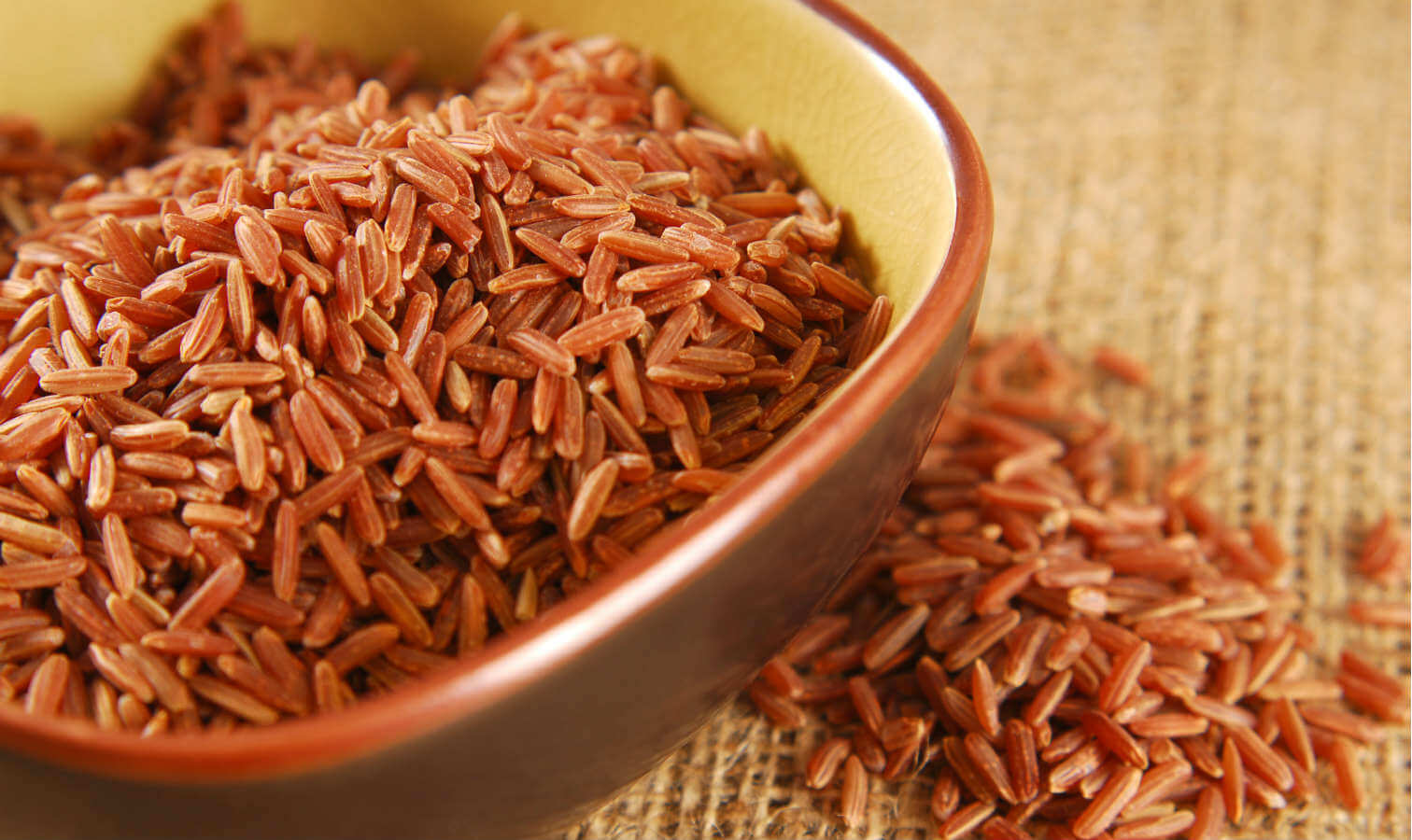 levadura-roja-arroz-suplemento-disminuir-colesterol